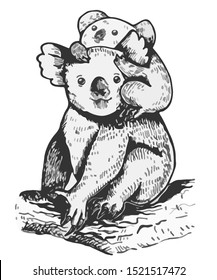 Mother koala with cute little baby in gray scale illustration. 