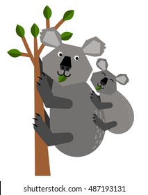 Mother Koala holding her baby on her back, and climbs a tree