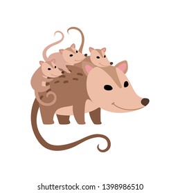 Mother Opossum With Its Babies, Family Of Opossums Vector Illustration