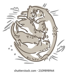 A mother otter feeds her young lying on her back. Vector illustration. Outline style.