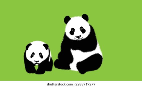 Mother panda with cute baby Black and white linear hand drawn panda bear vector illustration on colorful background.