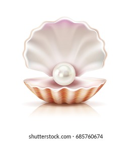 Mother of pearl shining in open shell of freshwater or seashell mollusk closeup realistic image vector illustration 