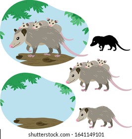 Mother possum with her cubs on her back climbs a tree against a background of fresh foliage and blue sky