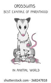 Mother Possum and her family - isolated on white background. Puppies possum kids or rats. Cartoon vector image.