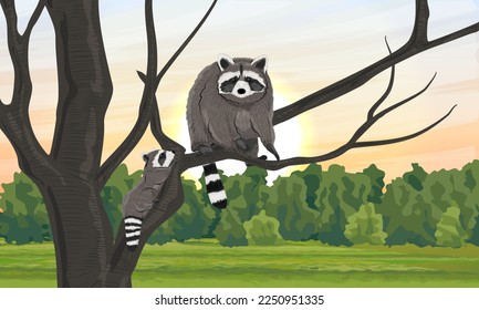 A mother raccoon and her cub are climbing a tree in a green meadow. Wild animals in summer. Realistic vector landscape