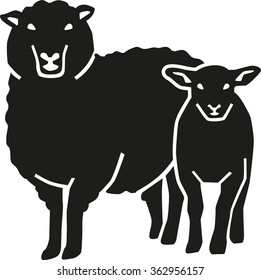 Mother sheep with lamb