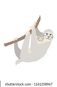 Mother Sloth and Baby