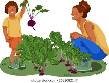 Mother and son working in the garden. The child pulls out beets. Vector illustration.