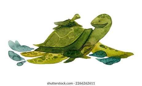 Una madre tortuga y bebés. Tortugas pintadas con acuarelas. Animados animales terrestres. Animales de dibujos animados de ilustraciones vectoriales aislados en blanco. 