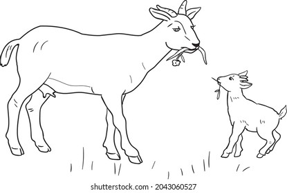 Motherhood. Mother And Child. Goats. Outline Vector Silhouette Illustration. Sketch .Coloring Pages
Farm Animals