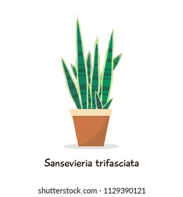 Mother-in-law Tongue, Snake Plant, Sansevieria - Flat Style Illustration. Vector Design.