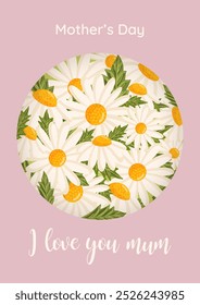 Cartão de dia das mães com flores de camomila bonito em um círculo. Ilustração isolada de vetor botânico para cartão postal, cartaz, anúncio, decoração, tecido e outros usos.