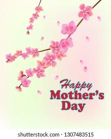 Mother's day card on a white background pink spring flowers on tree branches