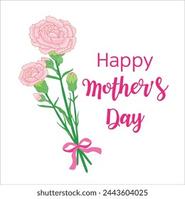 Mother's Day carnation bouquet image on white background.