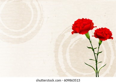 Mother's Day Carnation Spring background