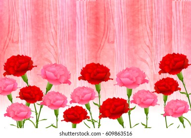 Mother's Day Carnation Spring background