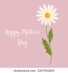 Mother's day greeting card. Chamomile flower. Botanical vector isolated illustration for postcard, poster, ad, decor, fabric and other uses.