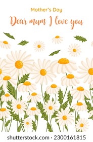 Mother's day greeting card. Seamless pattern for postcard or poster with daisies. Chamomile vector floral illustration for congratulations or decor etc. Festive template can add text.
