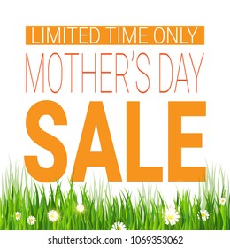 Mothers Day Sale Poster Limited Time Only Shopping Discount Tag