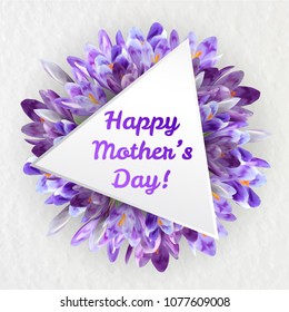 Mothers woman day greeting card poster banner template  with purple violet saffron crocus flower frame and copy space 