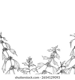 Quadro de ramificações da motherboard. Ilustrações vetoriais desenhadas à mão com tinta e isoladas sobre fundo branco. Modelo para o desenho do rótulo
