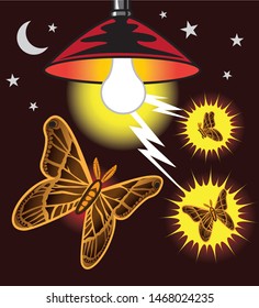 Moths attracted to light and getting zapped