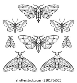 Moths and butterflies hand drawn line art gothic tattoo design set isolated vector illustration