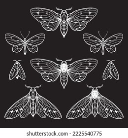 Moths and butterflies hand drawn line art gothic tattoo design set isolated vector illustration