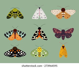 Moths collection part 1