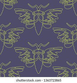 moths geometry linear ornament 