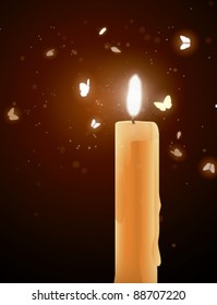 Moths near a candle