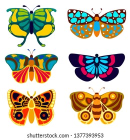 moths set, vector illustration isolated on white background