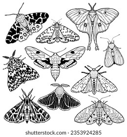 Conjunto de ilustraciones vectoriales de polillas. Clipart, siluetas mágicas de insectos negros en vectores, polilla nocturna de línea dibujada a mano, conjunto de elementos de diseño aislado, colección de insectos, esbozo de tatuajes, tarjeta mágica, afiche.