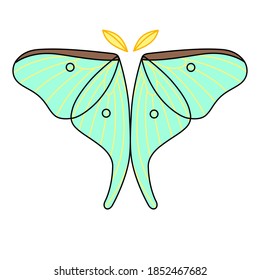 Motif of luna moth that stops with its wings open