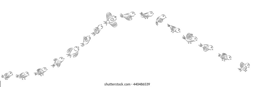 The motion of the birds. (step of flying) isolated