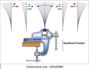 Motion and Elasticity