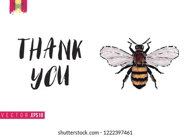 Motivation card with big honey bee and quote: thank you. Hand drawn insect illustration in embroidery fashion style. Greeting card with beautiful bug on white background