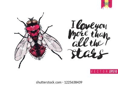 Motivation card with red fly and quote: i love you more than all the stars. Hand drawn insect illustration in embroidery fashion style. Greeting card with beautiful bug on white background