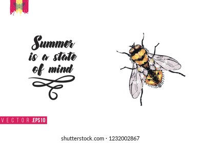 Motivation card with yellow fly and quote: summer is a state of mind. Hand drawn insect illustration in embroidery fashion style. Greeting card with beautiful bug on white background