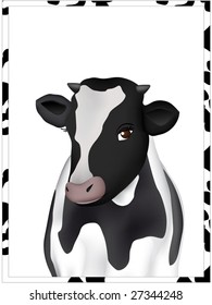 Motley cow in a motley framework