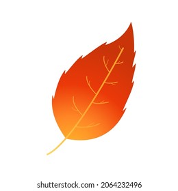 Motley fire and rust colored autumn leaf
