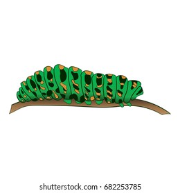 motley green caterpillar creeps along the branch. Vector illustration. Drawing by hand.