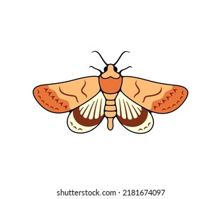 Motley nocturnal moth, butterfly and moth, logo design. Flying insects, nature, entomology and entomological, vector design and illustration