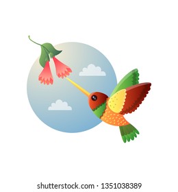 Motley small hummingbird with bright colorful plumage flying to bell-flower