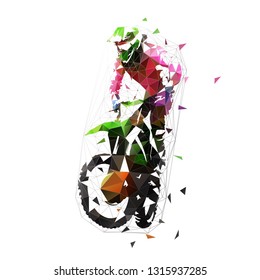 Motocross rider with motorcycle, isolated low poly illustration