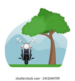 Motorcycle in a clearing near a sprawling tree. Isolated image.