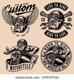 Motorcycle vintage designs set with custom motorbike and angry bulldog bikers labels and emblems isolated vector illustration