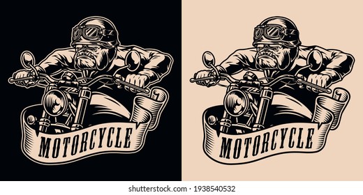 Motorcycle vintage monochrome logo with dangerous bulldog biker riding moto bike on dark and light backgrounds isolated vector illustration