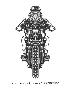 Motorcyclist with cruel wild boar head riding motorbike in vintage monochrome style isolated vector illustration