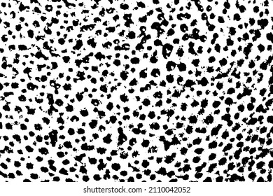 Mottled grunge texture of a natural organic surface. Monochrome background of mandarin peel close-up, with spots, noise and grain. Overlay template. Vector illustration